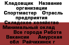 Кладовщик › Название организации ­ Спортмастер › Отрасль предприятия ­ Складское хозяйство › Минимальный оклад ­ 26 000 - Все города Работа » Вакансии   . Амурская обл.,Райчихинск г.